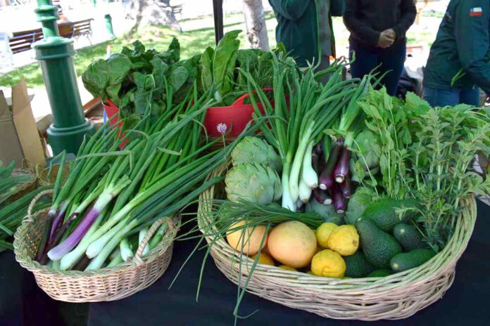 SAG realiza charla sobre venta de productos orgánicos