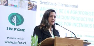 Seminario internacional abordó temáticas para recuperar bosques afectados por incendios forestales