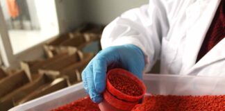 ¿CONOCES LA TÉCNICA DE INSECTOS ESTÉRILES, UTILIZADA PARA EL CONTROL DE PLAGAS?