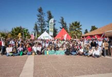 Abastecimiento sostenible: Tresmontes Lucchetti y Bigda-Agro desarrollan Tercer Encuentro de Trigueros de la Zona Central 