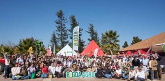 Abastecimiento sostenible: Tresmontes Lucchetti y Bigda-Agro desarrollan Tercer Encuentro de Trigueros de la Zona Central 