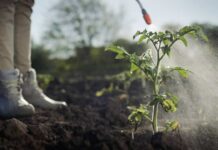 UCM desarrolla nueva herramienta para el cuidado de la salud de trabajadores/as agrícolas frente a los pesticidas