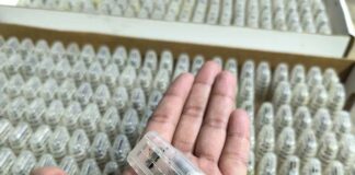 SAG Los Lagos certifica exportación: Hemisferio Norte será el nuevo hogar de abejas reinas producidas en el sur de Chile