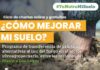 CONAF, FAO e INIA invitan a ciclo de charlas online para impulsar cuidado del suelo silvoagropecuario