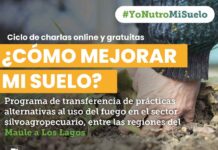 CONAF, FAO e INIA invitan a ciclo de charlas online para impulsar cuidado del suelo silvoagropecuario