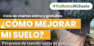 CONAF, FAO e INIA invitan a ciclo de charlas online para impulsar cuidado del suelo silvoagropecuario