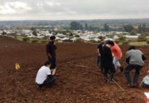 Académicos de Agronomía UdeC buscan mejorar los productos patrimoniales de las cuelchas