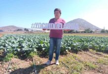 Agricultoras del Norte Chico podrán presentar sus proyectos al Concurso Nacional de Riego para Mujeres de la CNR
