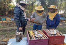 Agricultores destacan beneficios de los seguros para el agro con subsidio estatal para proteger la producción