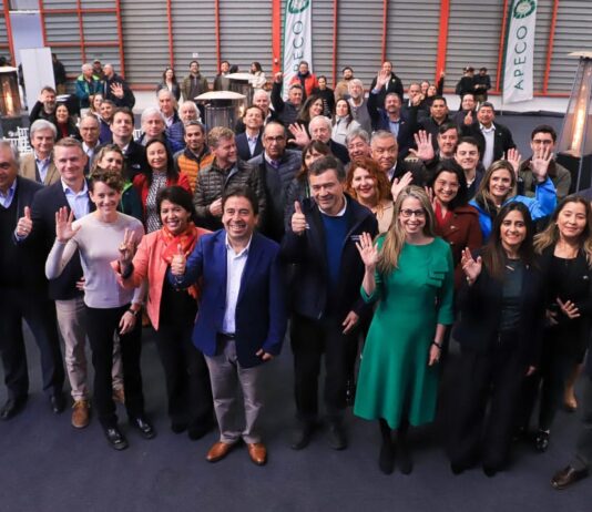 Chile y EE. UU. acuerdan puesta en marcha del Systems Approach para la uva de mesa chilena