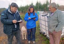 Comenzó aplicación de ficha para catastro de afectación silvoagropecuaria en Biobío