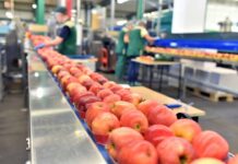 Comenzó la segunda etapa de poblamiento del marco de cualificaciones técnico profesional agropecuario