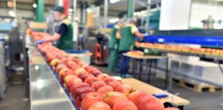 Comenzó la segunda etapa de poblamiento del marco de cualificaciones técnico profesional agropecuario