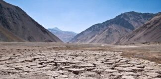 Día Mundial Contra la Sequía