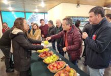Efectos del cambio climático potencian a Ñuble como la futura región frutícola de Chile