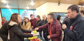 Efectos del cambio climático potencian a Ñuble como la futura región frutícola de Chile