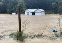 Efectos del temporal en el Agro Expertos de INIA Rayentué entregan recomendaciones