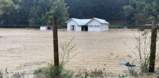 Efectos del temporal en el Agro Expertos de INIA Rayentué entregan recomendaciones
