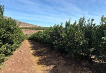 El CEO de Terragénesis visita la Cuarta Región para supervisar proyectos de agricultura regenerativa