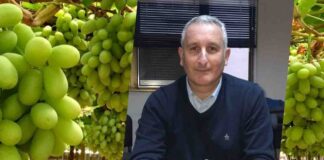 FEDEFRUTA calificó como una excelente noticia declaraciones de la Embajadora de EEUU sobre "muy prontas" noticias del Systems Approach