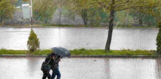 Sistema frontal amenaza a Zonas del Sur de Chile: Especialista entrega recomendaciones para enfrentar el fenómeno "río atmosférico categoría 5"