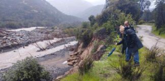 Ante fuertes lluvias en el país: Fruteros señalan que no habrían daños en el sector de la fruta y  precios no deberían verse afectados