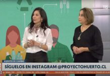 Celebrando el Día Mundial del Árbol: Fundación Proyecto Huerto Promueve Ciudades Más Verdes y Saludables