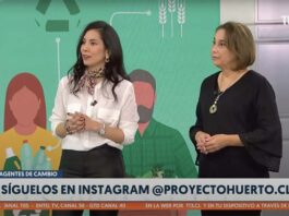 Celebrando el Día Mundial del Árbol: Fundación Proyecto Huerto Promueve Ciudades Más Verdes y Saludables Celebrando el Día Mundial del Árbol: Fundación Proyecto Huerto Promueve Ciudades Más Verdes y Saludables