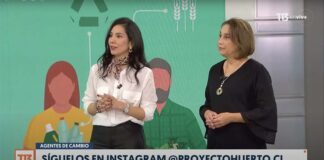 Celebrando el Día Mundial del Árbol: Fundación Proyecto Huerto Promueve Ciudades Más Verdes y Saludables