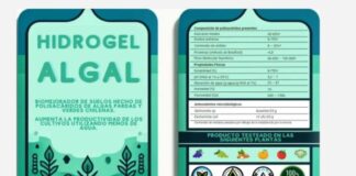 Hidrogel algal para el uso agrícola creado por UCN podría convertirse en biomejorador de suelos