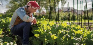 Huerta biointensiva en Torres del Paine amplía variedad de bio-preparados para desarrollar cultivos en condiciones extremas