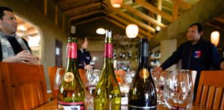 INDAP presenta la Estrategia Regional Vitivinícola de Maule con foco en fortalecer la producción de vinos campesinos patrimoniales