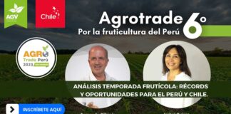 Imperdible Agrotrade Perú: Isabel Quiroz y Fernando Cillóniz analizaran los Récords y Oportunidades de la Temporada Frutícola del Perú y Chile. 