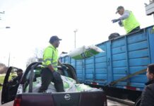 Minagri inicia despliegue de "Ayudas Tempranas" con entrega de alimento animal a agricultores en Arauco
