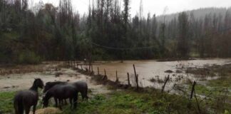 Ministro de Agricultura por frente de mal tiempo: "La lluvia en el sur ha sido compleja, pero no comparable con las dos tormentas del año pasado"