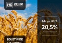 Molienda de trigo de la Región del Biobío aumentó 20,5% en mayo
