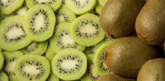 Nueva estimación del Comité del Kiwi: Exportaciones crecerían 7% esta temporada