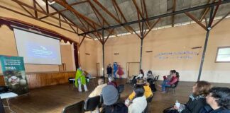 Olivicultores apuestan por modernizar sus ventas con redes sociales