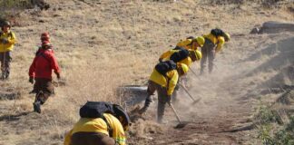 Panel de Expertos fortalecerá proceso de selección de brigadistas en CONAF