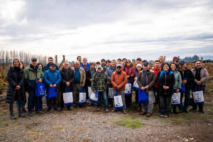 Pequeños fruticultores de Chimbarongo se capacitaron en el manejo de plagas que afectan a los berries