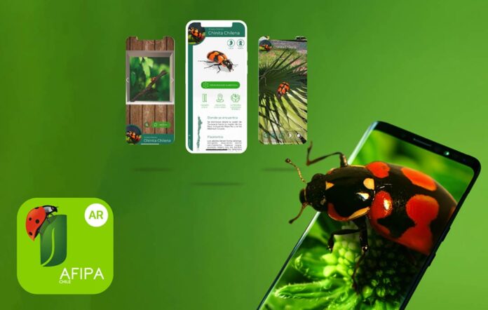 ¿Plaga o insecto biocontrolador? Descúbrelo con la Realidad Aumentada de la App Insectarium AR 3.04 de AFIPA y protege tu cultivo