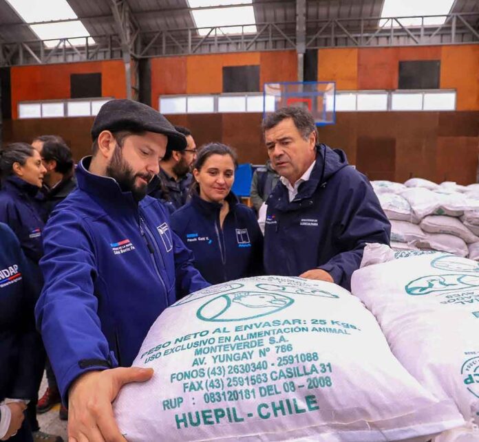 Presidente Gabriel Boric encabeza la entrega de ayudas para agricultoras y agricultores de Arauco