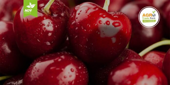 Programa AgroTrade Perú 2024 - ¡Inscríbete ya y conoce el análisis de la última temporada de las Agroexportaciones en Chile y Perú!