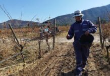 Protegiendo nuestros suelos ante la amenaza de temporales