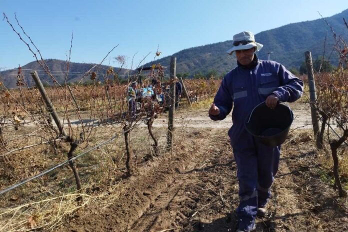 Protegiendo nuestros suelos ante la amenaza de temporales