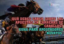 ¿Qué debes saber sobre las apuestas en carreras de caballos? Guía para apostadores novatos