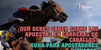 ¿Qué debes saber sobre las apuestas en carreras de caballos? Guía para apostadores novatos