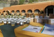 Red de Banco de Germoplasma de INIA inició proceso de entrega de semillas tradicionales a agricultores
