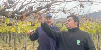 Salamanquinos reciben asesoría para mejorar sus sistemas de riego y realizar un uso eficiente del agua