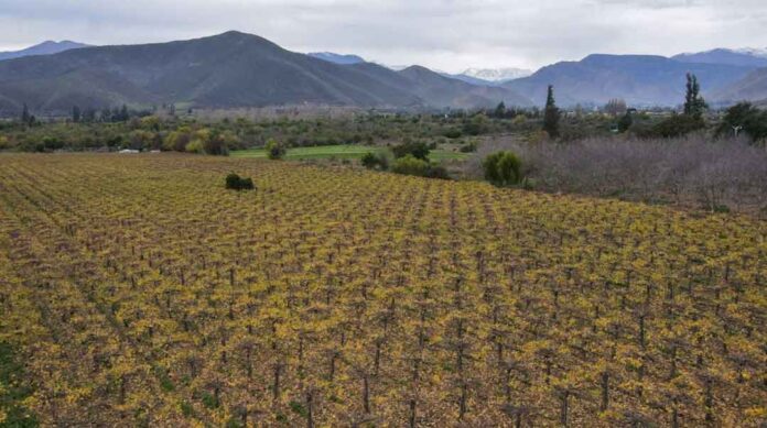 Por qué persiste la sequía en la Región de Coquimbo